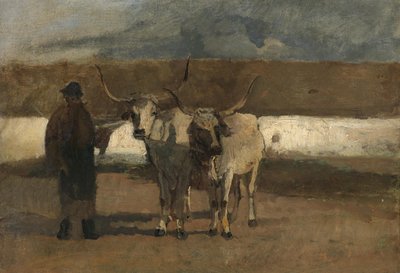 Boer met ossenspan door Emil Jakob Schindler